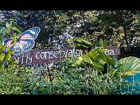 Butterfly Conservatory of Goa